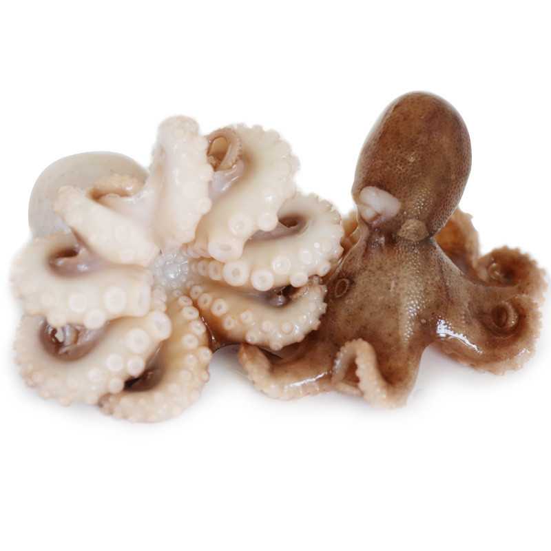 新鲜小章鱼 小八爪鱼小八带鱼 短腿小八爪鱼 小望潮 1kg(2斤)