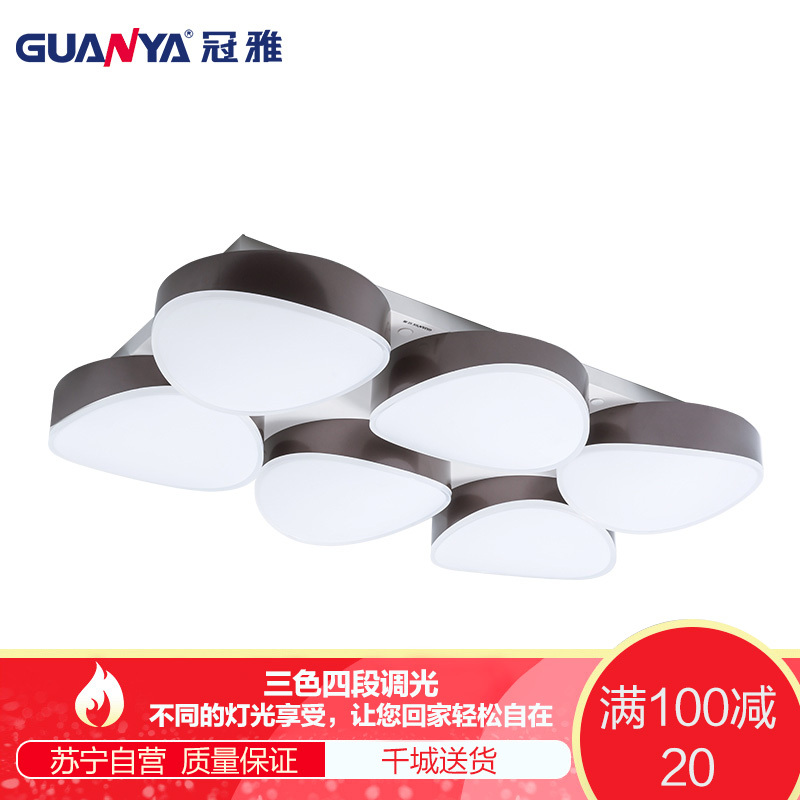 冠雅(GUANYA)冠雅简约现代客厅灯led吸顶灯北欧卧室节能灯家用个性创意房间灯照射面积20其他