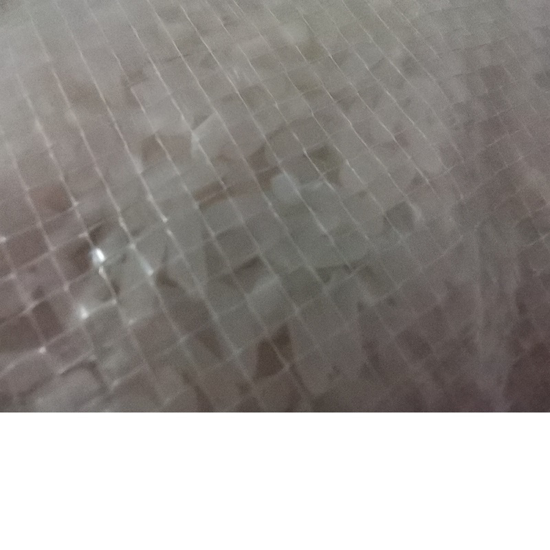 白湖丝苗米10kg/袋