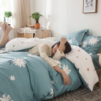 北极绒四件套全棉印花简约纯色床品套件床单式标准号200*230cm
