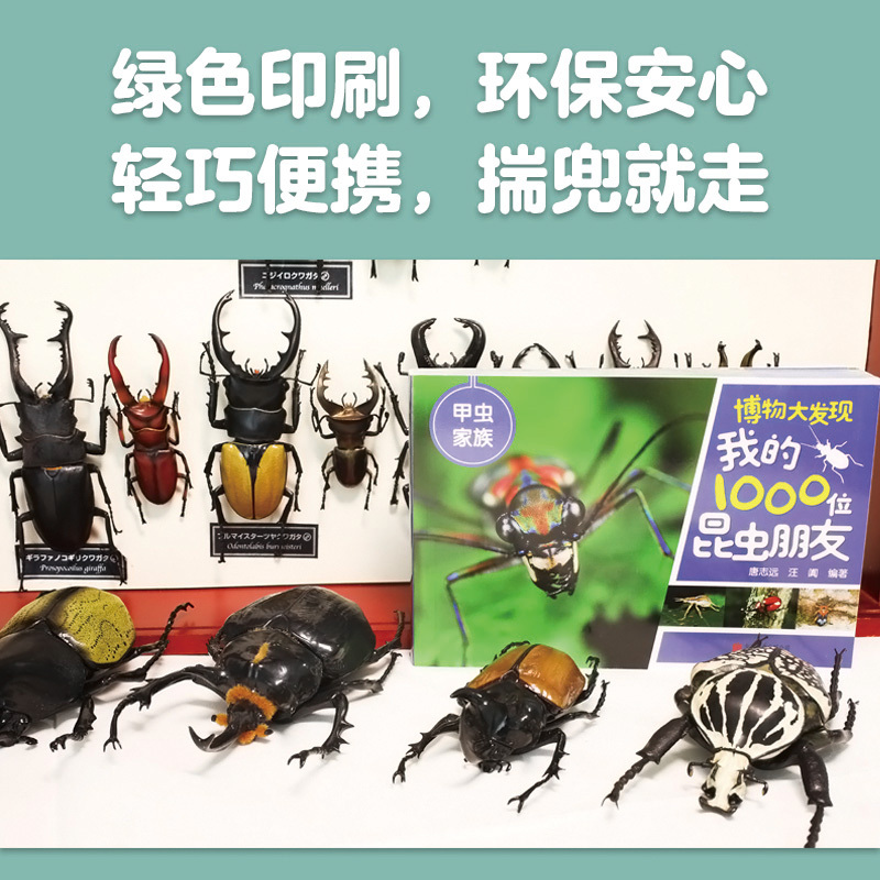 我的1000位昆虫朋友[全5册] [正版]博物大发现:我的1000位昆虫朋友全5册 带孩子去野外探索昆虫世界JYXX能揣
