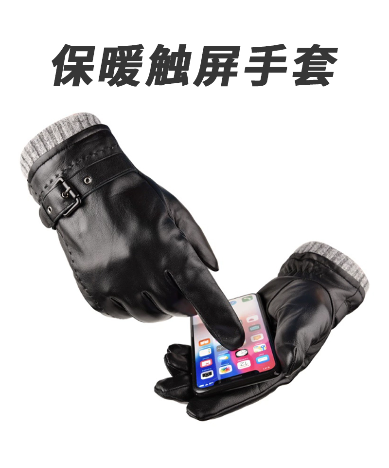东升美辰 罗口羊皮冬季保暖触屏手套男(M/L) DS-XH013 双高清大图