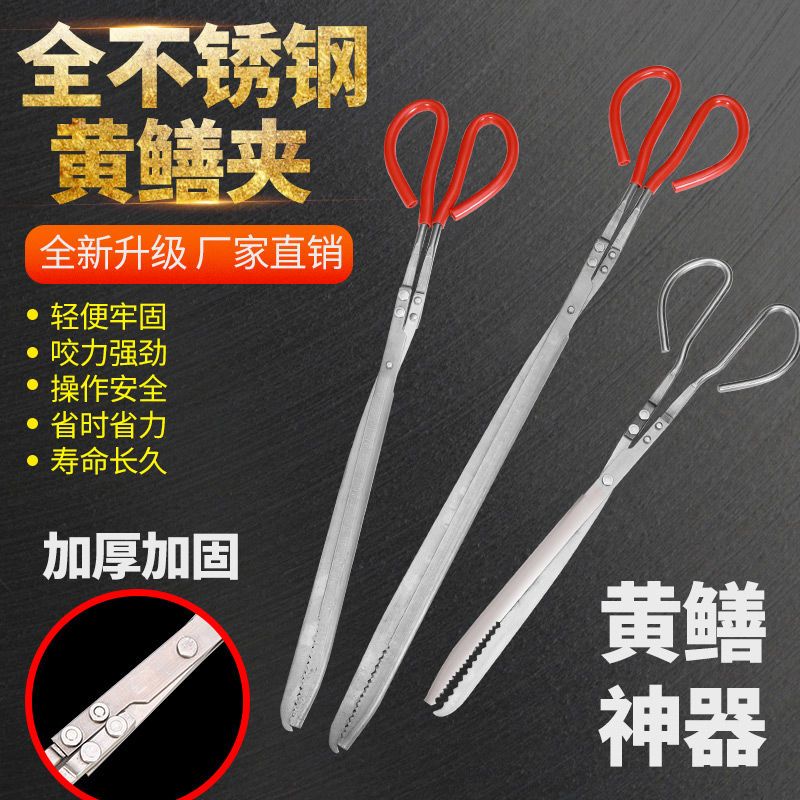 不锈钢黄鳝夹子捕泥鳅鳝鱼钳防滑抓龙虾螃蟹多功能控鱼器赶海神器 加厚镀锌款54cm黄鳝夹