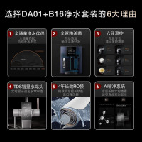 COLMO 净水套装 家用管线机 冷热直饮 600G大通量 RO反渗透滤芯 智能TDS水龙头 纯水机D6+DA01