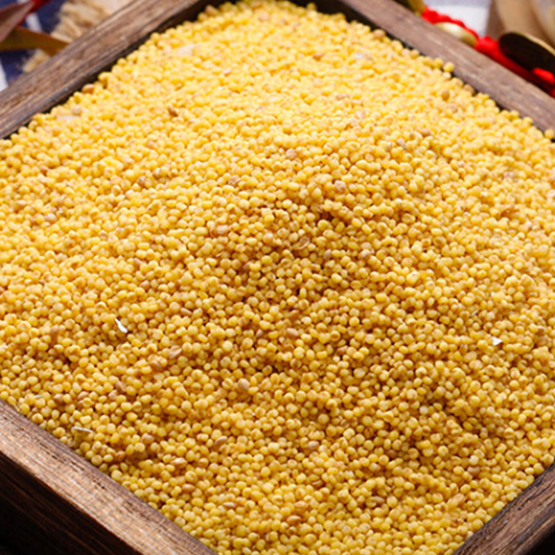 绿帝小米饱满金黄自然清香粒粒浑圆口感柔软米香四溢香滑软糯500g高清大图