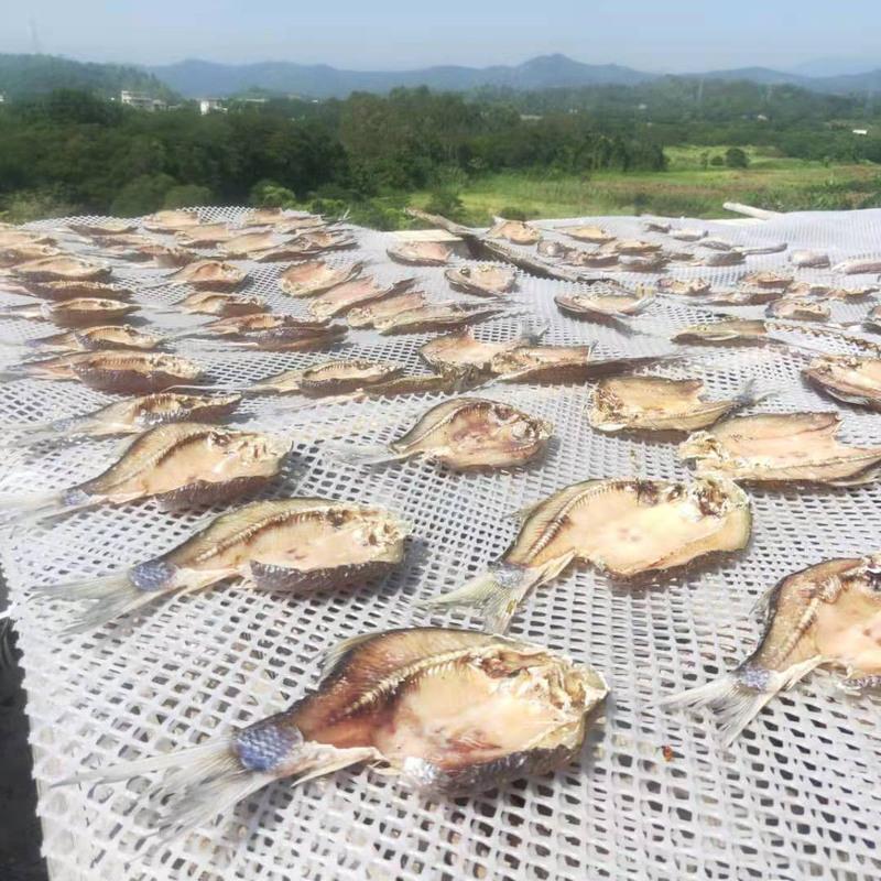 赛卡伊 大溪客家自晒整条鲮鱼干广式咸鱼腊鱼生晒良鱼干货风干凌鱼纯