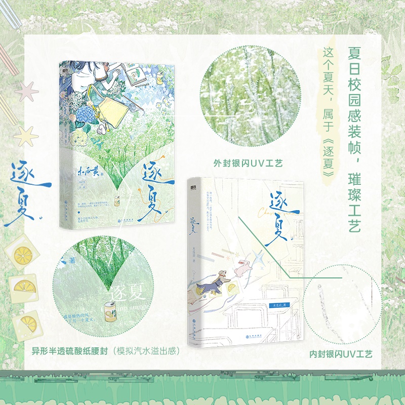 逐夏 [正版]逐夏 小说 木瓜黄 特殊人格朝俞这题超纲了同作者青春文学校园实体书言情图书书籍高清大图