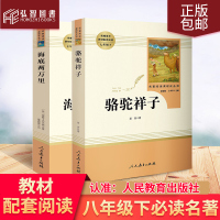 套装 2本 名著阅读课程化丛书 骆驼祥子+海底两万里 七7年级下册初中统编语文教材配套阅读 阅读教辅书籍