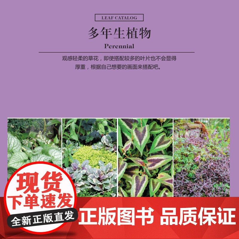 出版社 绿手指园艺图书《彩叶植物图鉴》(日) 荻原范雄主编; 药草花园 陆蓓雯译 500种彩叶植物的应用与搭配高清大图
