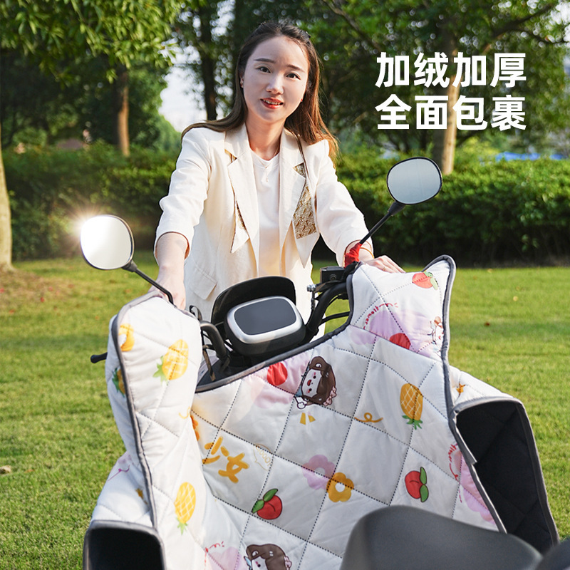 华普思艺挡风被HPSY-1-0004 四季薄款(甜蜜少女)高清大图