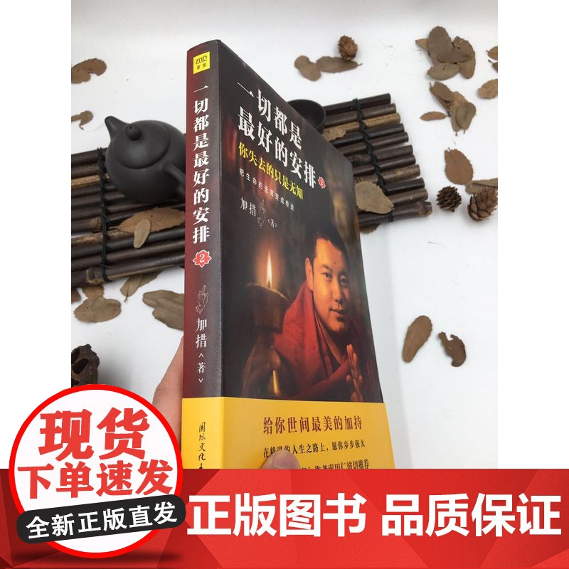正版 一切都是最好的安排2 把生命的无常变成奇迹 加措活佛 索甲仁波切 国际文化出版公司高清大图