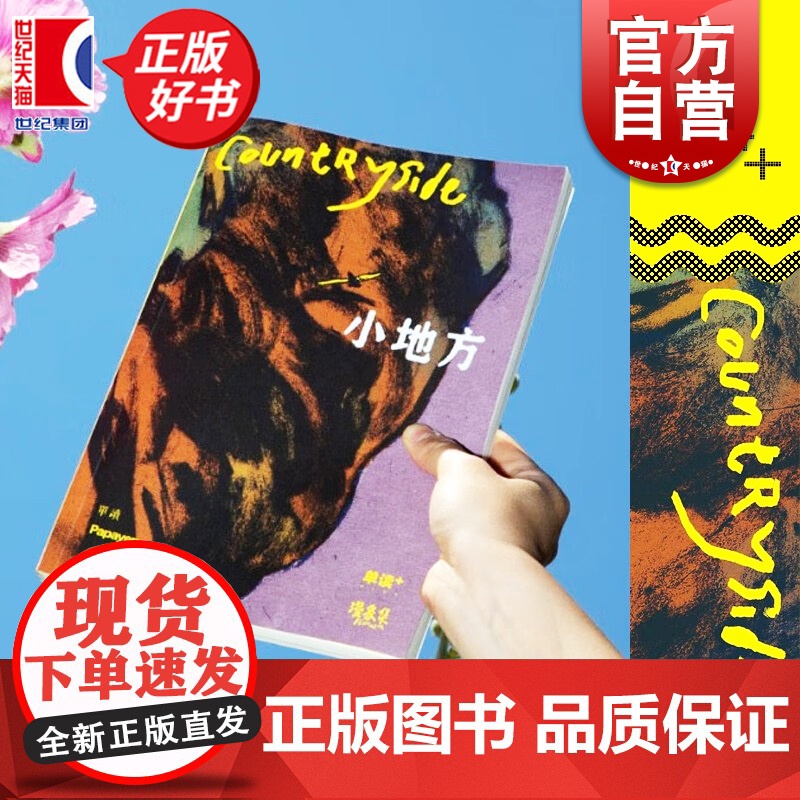 正版 小地方 单读PLUS漫象集特约主编杨成桦Papayep工作室联合独立漫画记录乡村县城变化上海文艺出版社单向空间