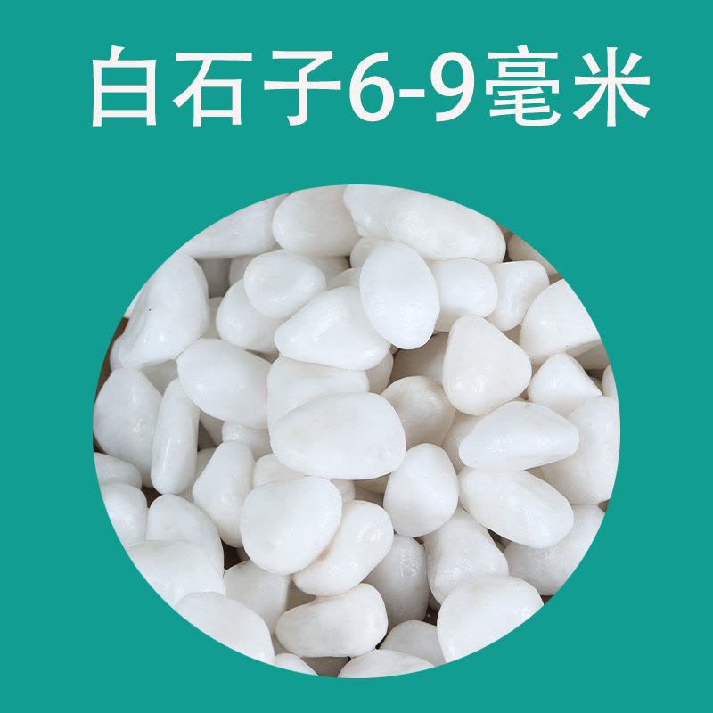 五彩石彩色石子七彩石盆栽多肉铺面装饰鱼缸造景底砂小彩园艺图片