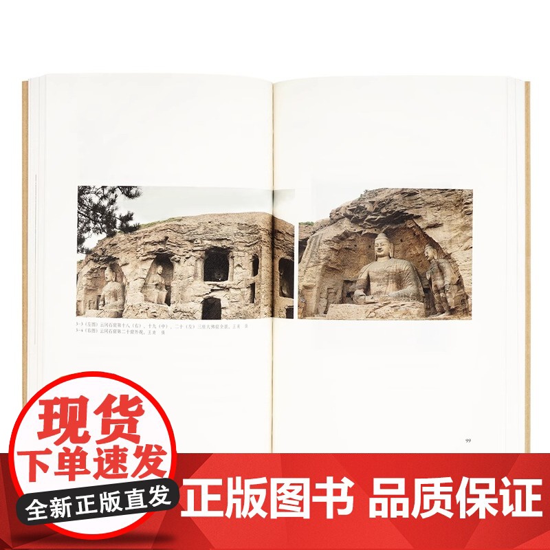 [央视网]读小库王南建筑史诗系列 塔窟东来 王南 著 中国古代工匠如何翻译引进天竺建筑 印度建筑史塔与石窟资料艺术书籍D高清大图