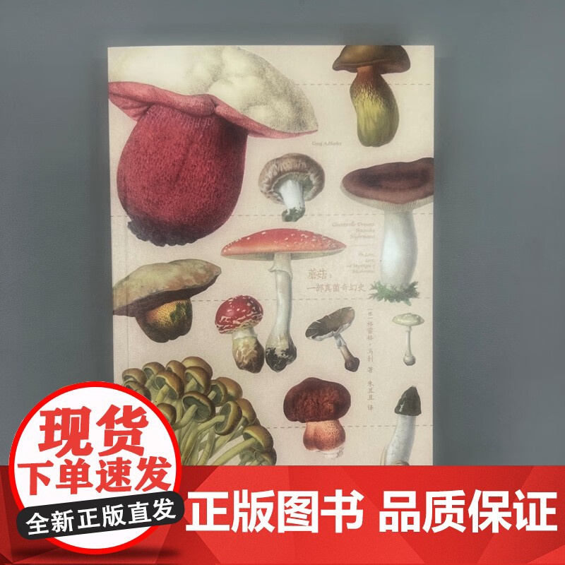 蘑菇 一部真菌奇幻史 格雷格·马利 著 生物科学高清大图