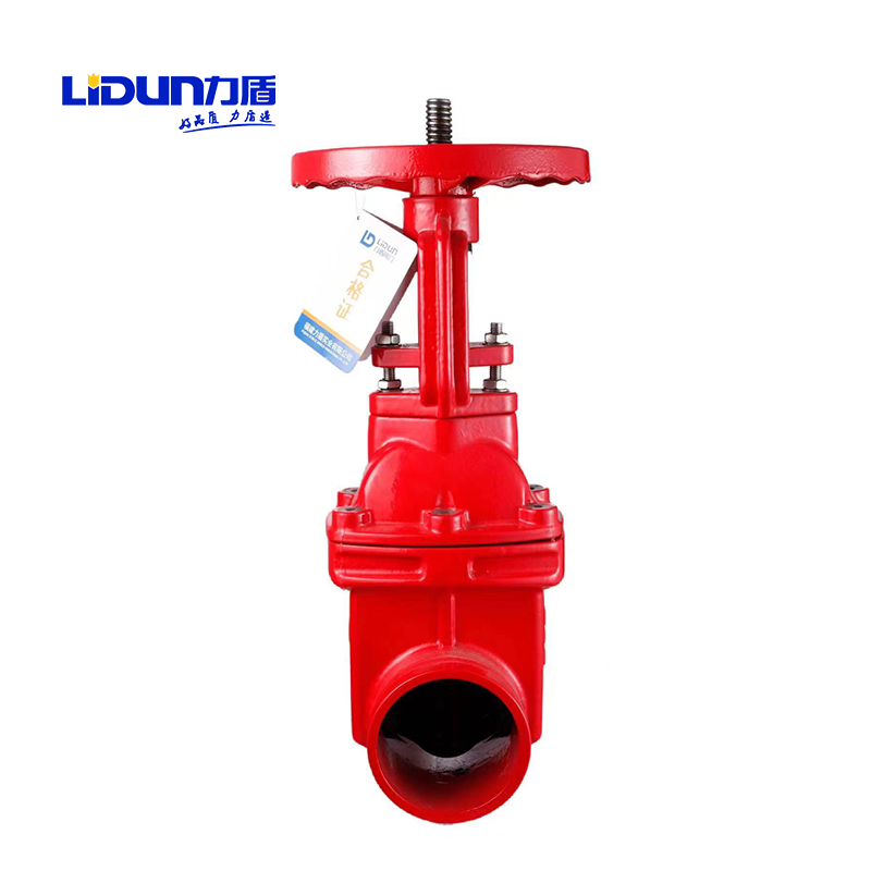 力盾 弹性座封闸阀 Z81X-16Q DN125 台高清大图