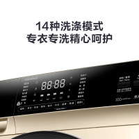 小天鹅(LittleSwan) 10公斤 滚筒洗衣机全自动 银离子除菌 洗脱一体 智能家电变频 TG100V65WADG