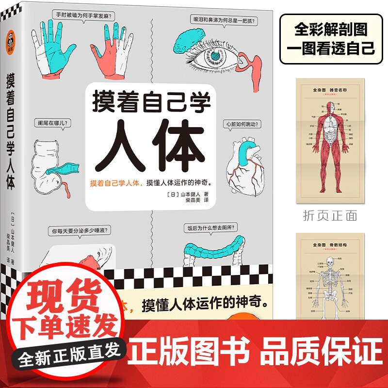 摸着自己学人体 山本健人 著 科普读物高清大图