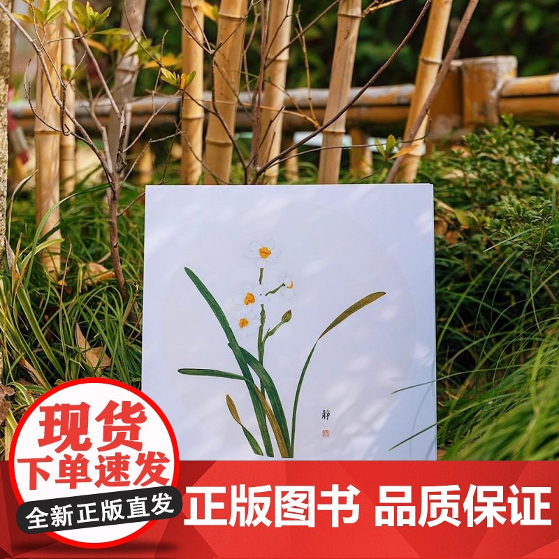 二十四番花信风 工笔花卉画片集 附教学视频/花笺 工笔画花卉技法白描底稿勾线稿中国风古风花鸟小品初学者基础入门教程临摹册高清大图