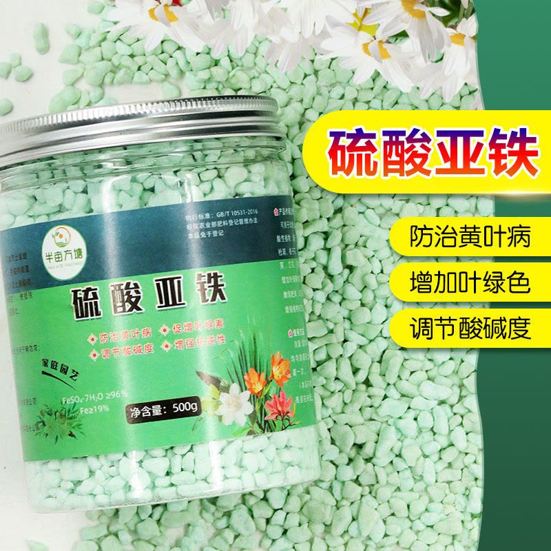 硫酸亚铁柠檬酸花肥养花栀子花杜鹃茶花茉莉黄叶喜酸植物铁肥图片