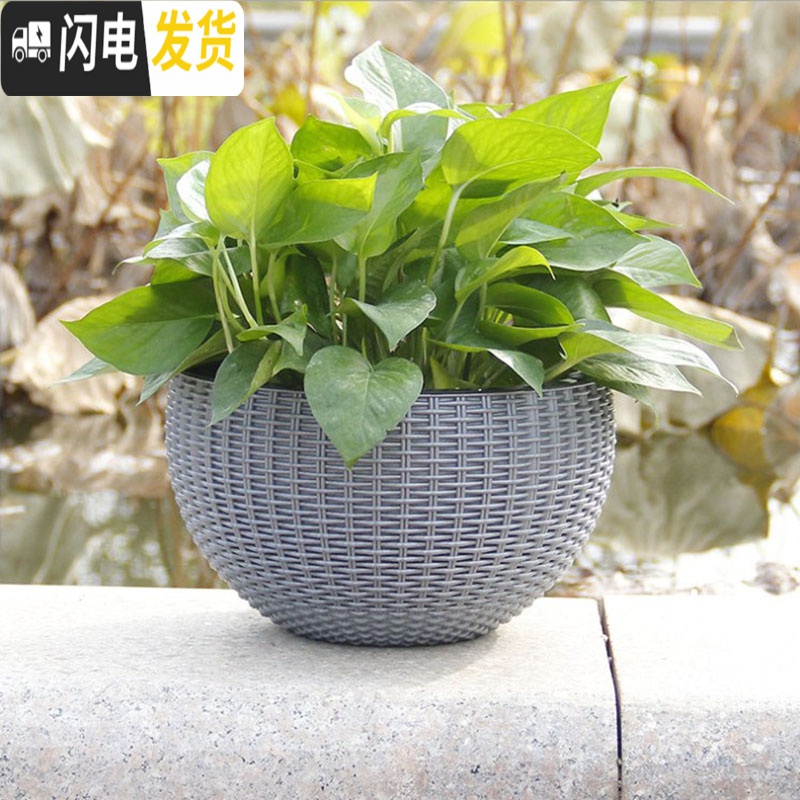 三维工匠吊兰绿萝花盆花盆悬挂盆室内垂吊垂挂吊盆式吊着的塑料吊篮花盆 白色[送链子+定植篮] 小号(直径16.5c花盆容器高清大图