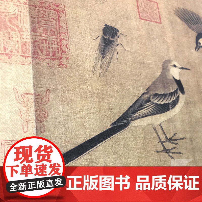 黄荃写生珍禽图黄居寀山鹧棘雀图中国绘画名品 正版画册书籍五代两宋花鸟画代表性画家动物山石荆棘整图拉页文化 上海书画出版社高清大图