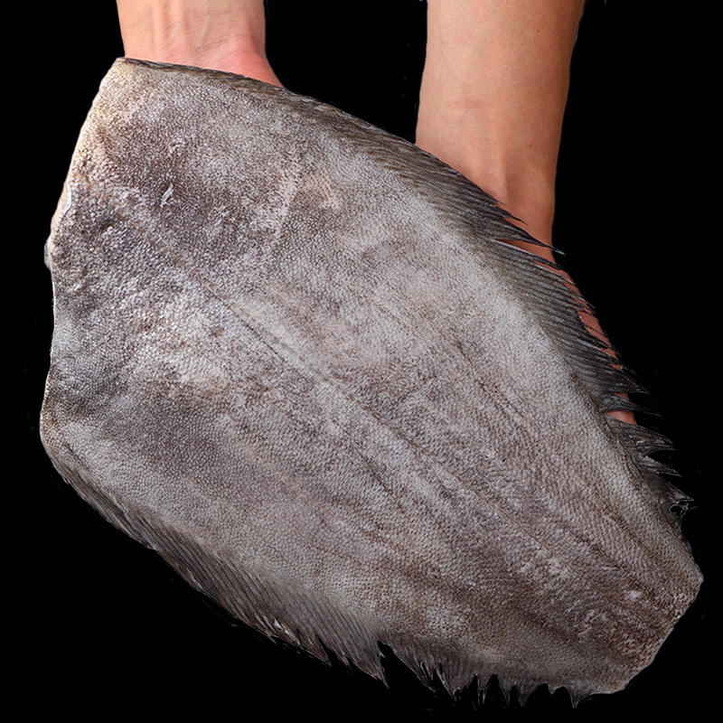 鲽鱼身深海鲽鱼身去头去尾去内脏