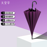 天堂 193E碰击布直杆自开商务伞晴雨伞1283