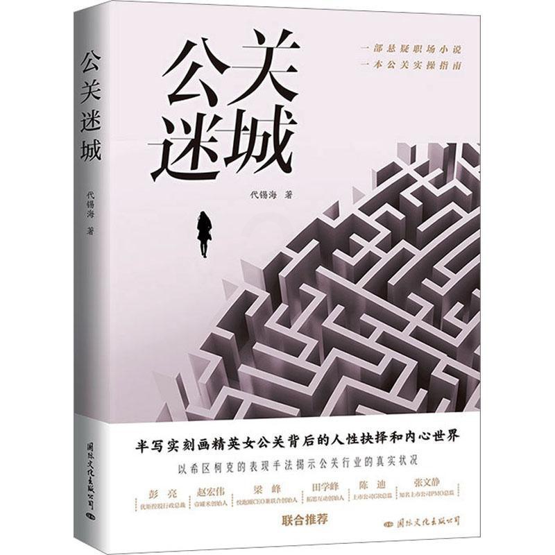 [正版]公关迷城 代锡海 著 职场小说经管、励志 书店图书籍 国际文化出版公司高清大图