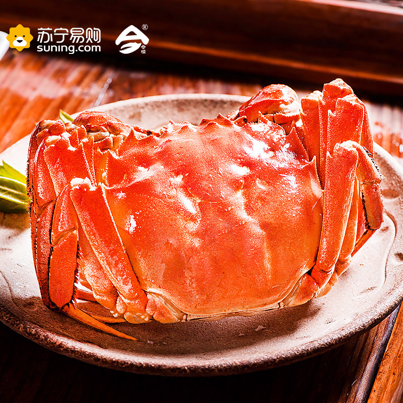 今澄[礼券]阳澄湖 今澄大闸蟹礼券1888型 全母2.5两/只 8只装