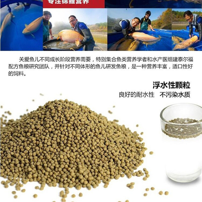 彩锦王御鳞锦鲤鱼饲料鱼粮鱼食育成增色增体鱼食螺旋藻上浮颗粒 彩锦王育成饲料454g小粒