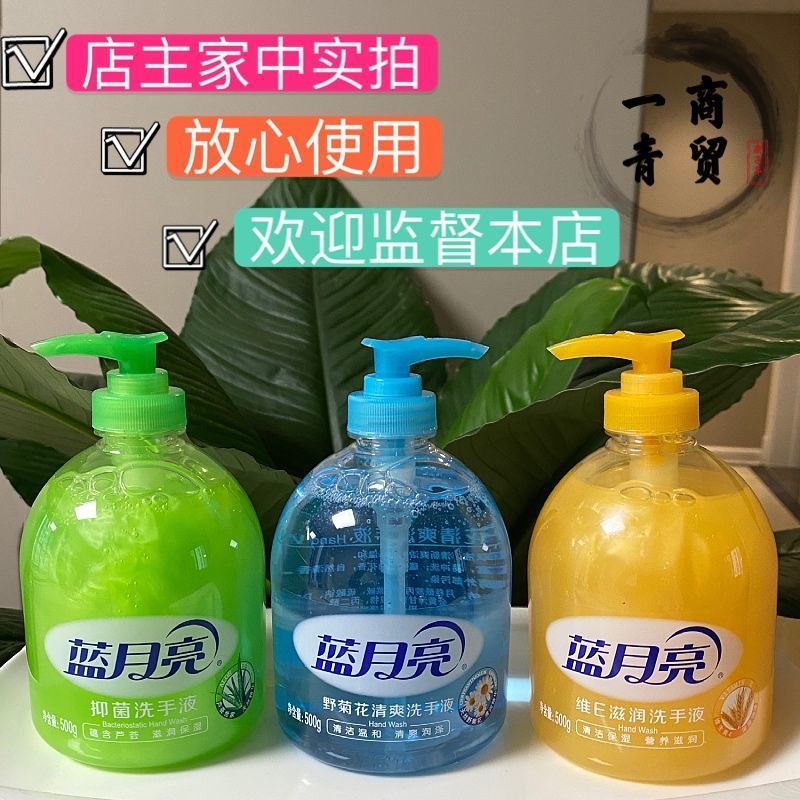 蓝月亮芦荟洗手液野菊花维生素E清香型抑菌补充装按压瓶 芦荟*2瓶(1个泵头+1个无泵头))