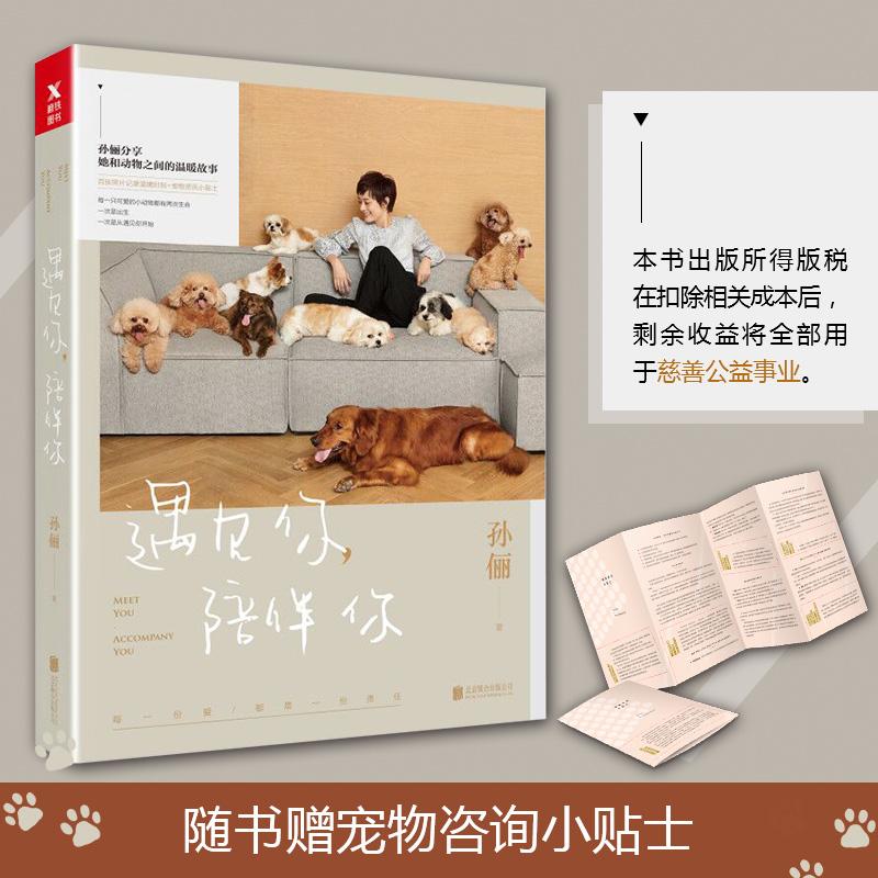 遇见你陪伴你/孙俪高清大图