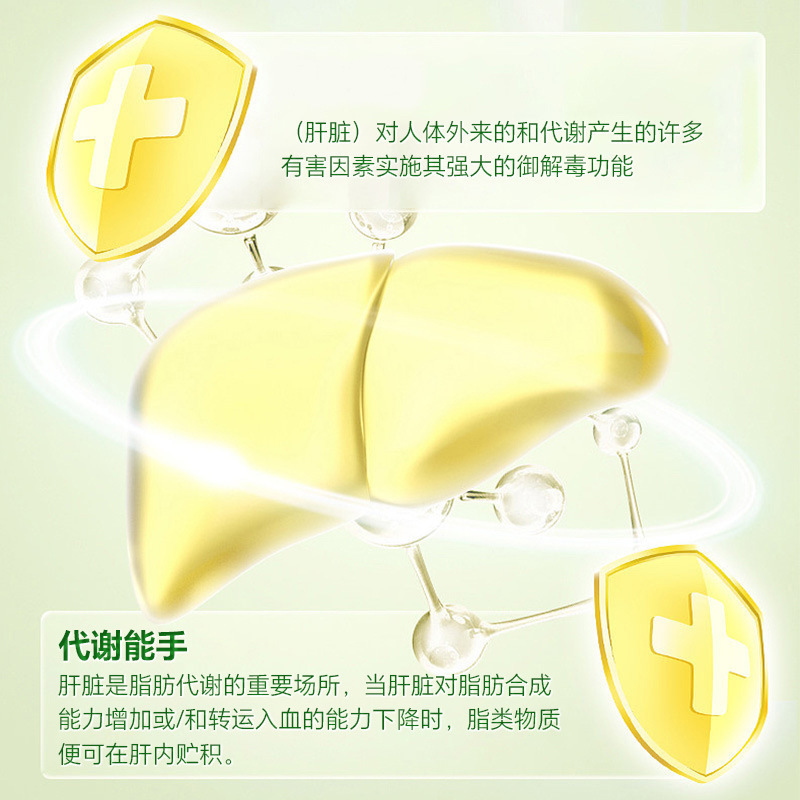 北京同仁堂 水飞蓟籽油人参葛根片压片糖果100片官方正品