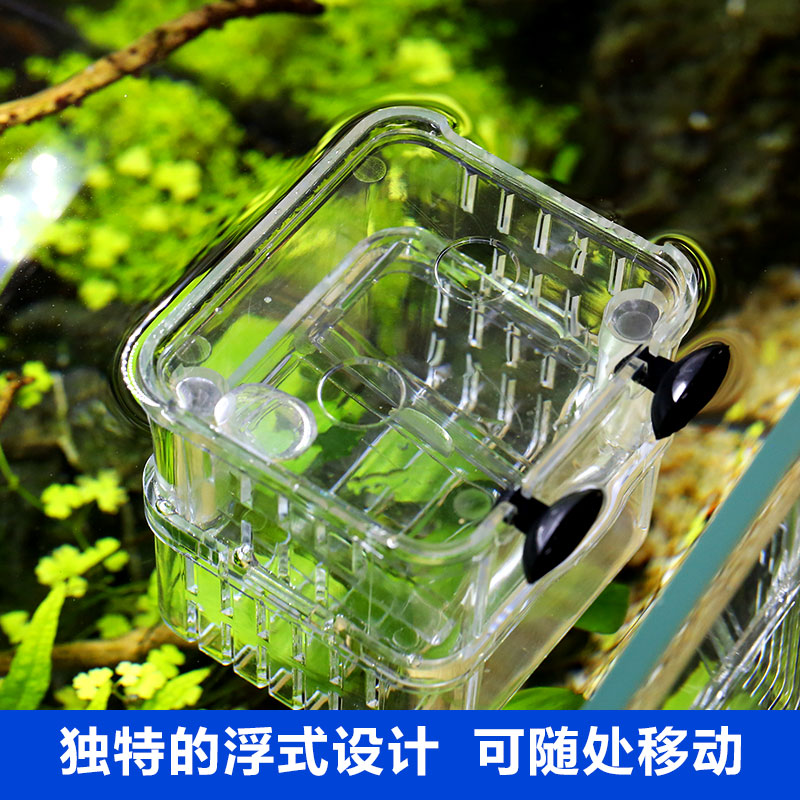 幼鱼孔雀鱼繁殖盒鱼缸隔离斗鱼鱼苗产卵器热带鱼亚克力高清大图