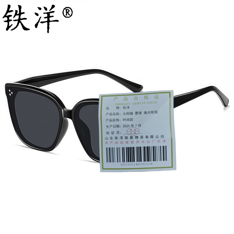 铁洋 太阳镜 墨镜 偏光眼镜 时尚款 副高清大图