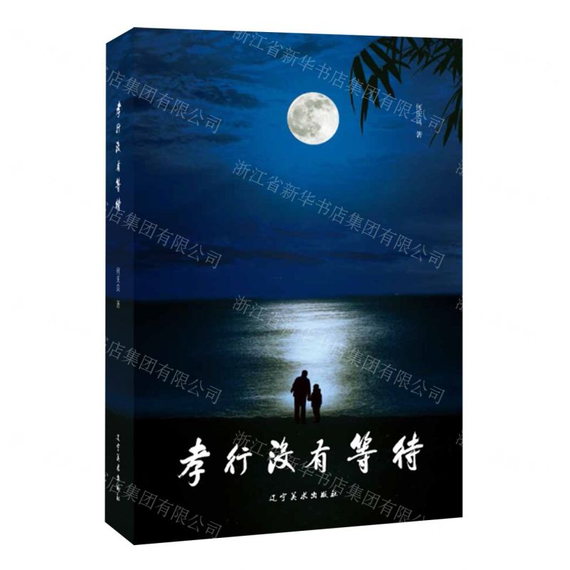 [N]孝行没有等待-9787531495109高清大图