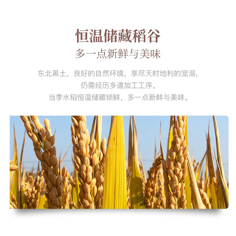十月稻田 东北大米5kg/袋高清大图