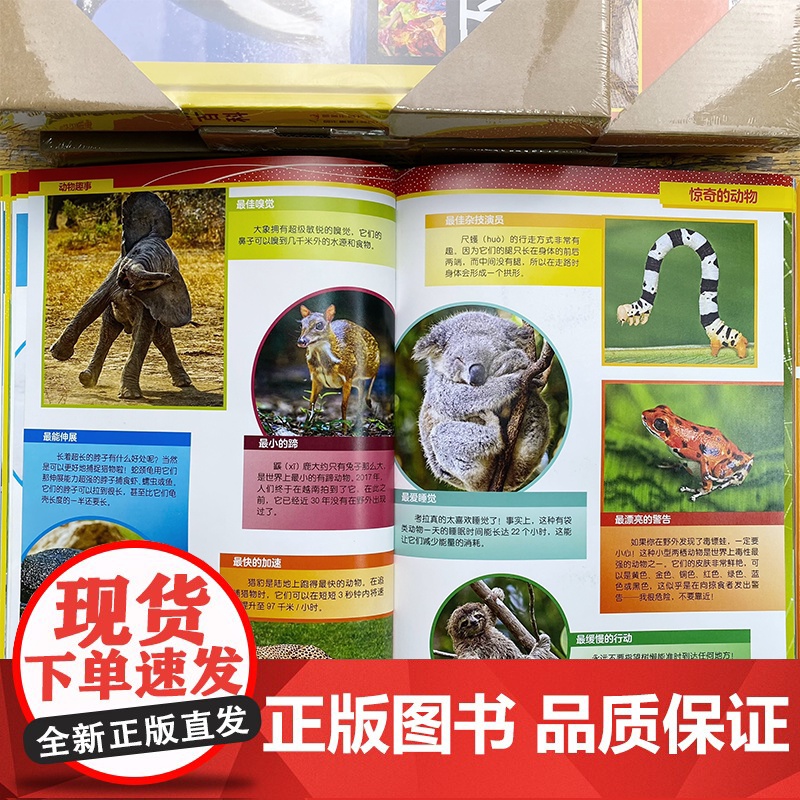 环球博物百科 美国国家地理 儿童课外阅读科普百科全书3-8岁小学生一二年级课外书少儿版趣味科普读物恐龙百科昆虫动物高清大图