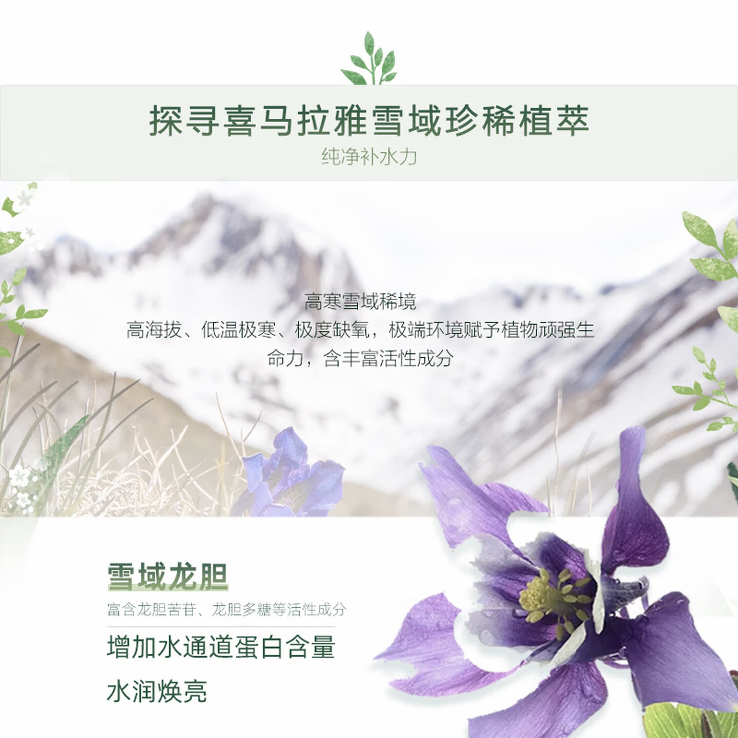 自然堂 喜马拉雅膜法龙胆亮润面膜26ml*5片焕亮高清大图