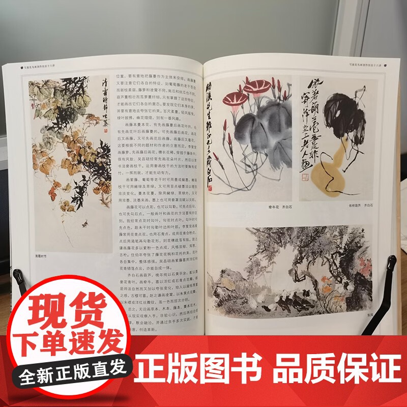 写意花鸟画创作技法十六讲 郭味蕖 著 绘画高清大图