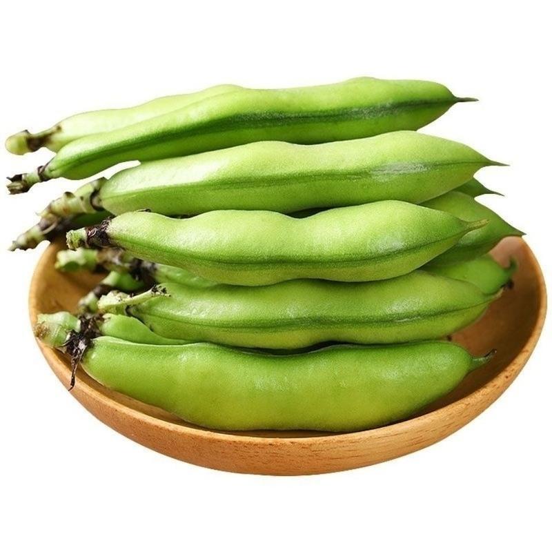 赛卡伊蚕豆新鲜蚕豆胡豆新鲜生蚕豆带壳嫩青蚕豆嫩罗汉豆新鲜蔬菜