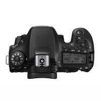 佳能(Canon) EOS 90D(单机身不含镜头) 数码单反相机 约3250万像素
