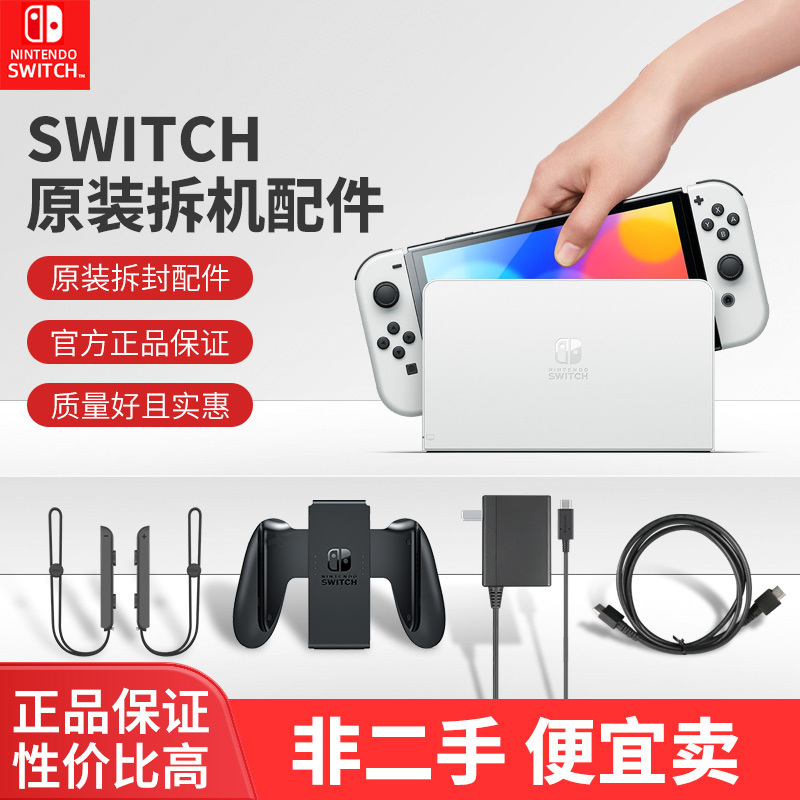 switch 国行充电器