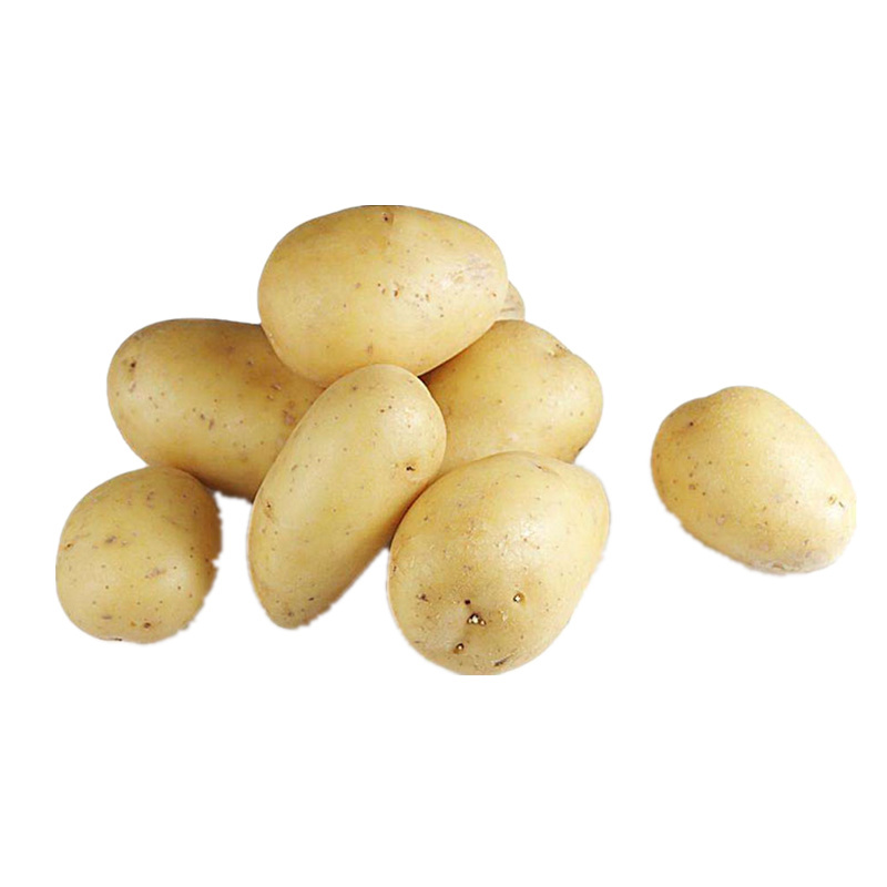 七果果 脆土豆 2斤 新鲜蔬菜 as