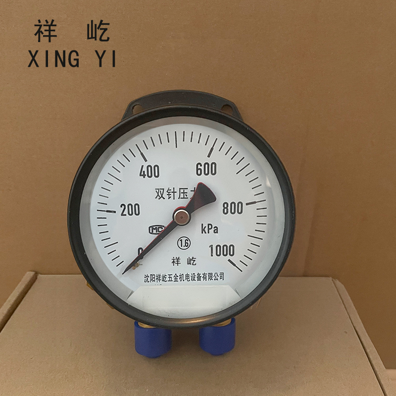 祥屹 双针双管压力表 YCS100-II 24V 台高清大图