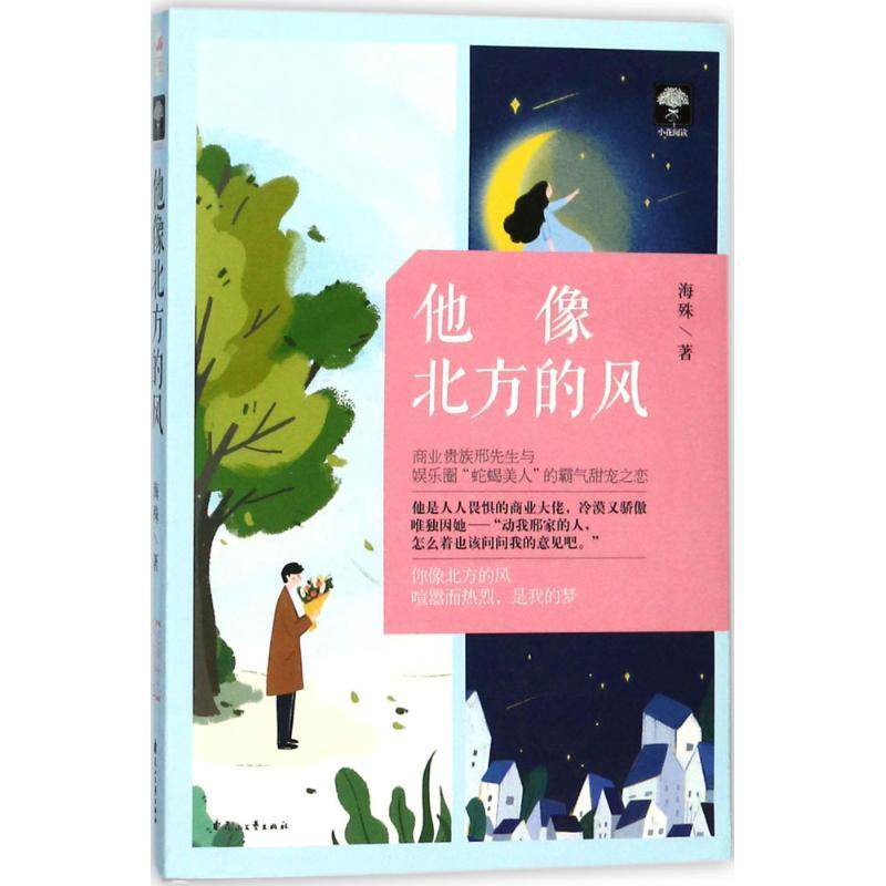 他像北方的风 海殊 著 文学 文轩网