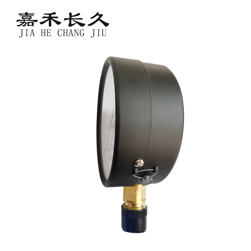 嘉禾长久/水压表/Y100 0-60Kpa/个高清大图
