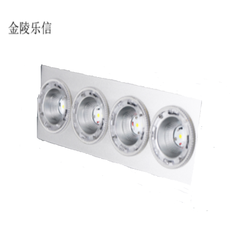 金陵乐信 RGDL290 LED筒灯