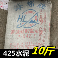 425水泥10斤卫生间漏水修补水泥 散装补漏水泥高强度水泥